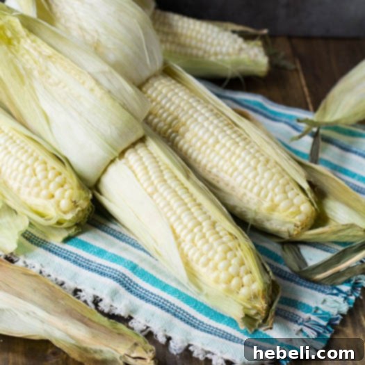 Roasted Corn Ready to Serve