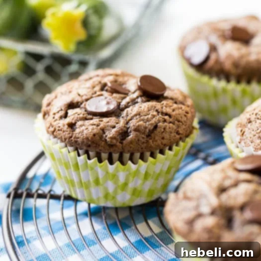 Dark Chocolate Zucchini Muffins ready to be enjoyed