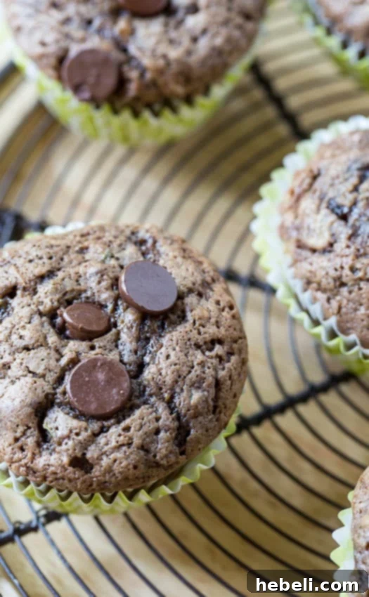 A basket full of dark chocolate zucchini muffins