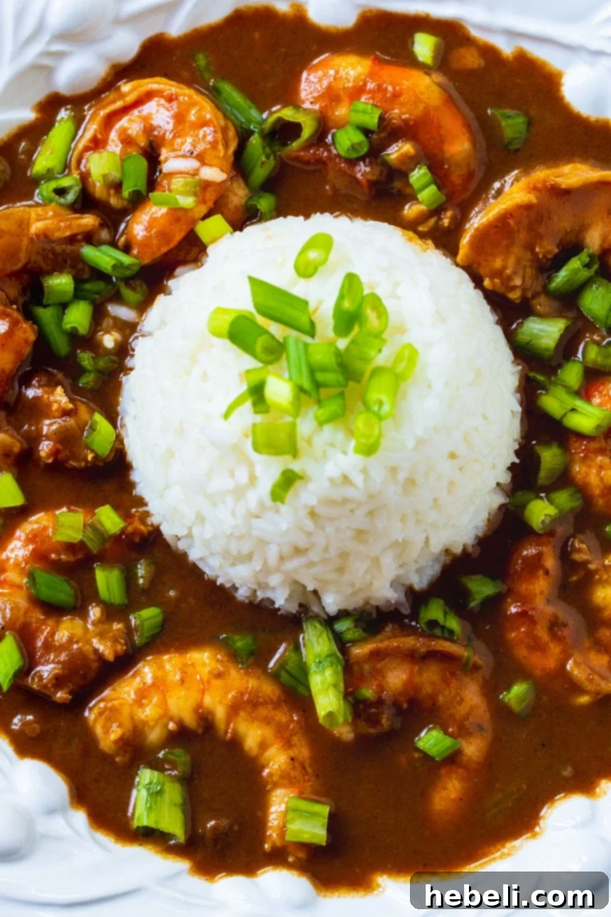 Close-up overhead view of a deeply flavored Shrimp Etouffee, garnished and ready to serve.
