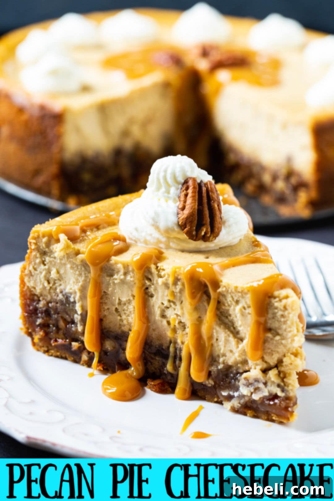 A pristine slice of Pecan Pie Cheesecake resting on a white plate, showcasing its golden crust and creamy topping.