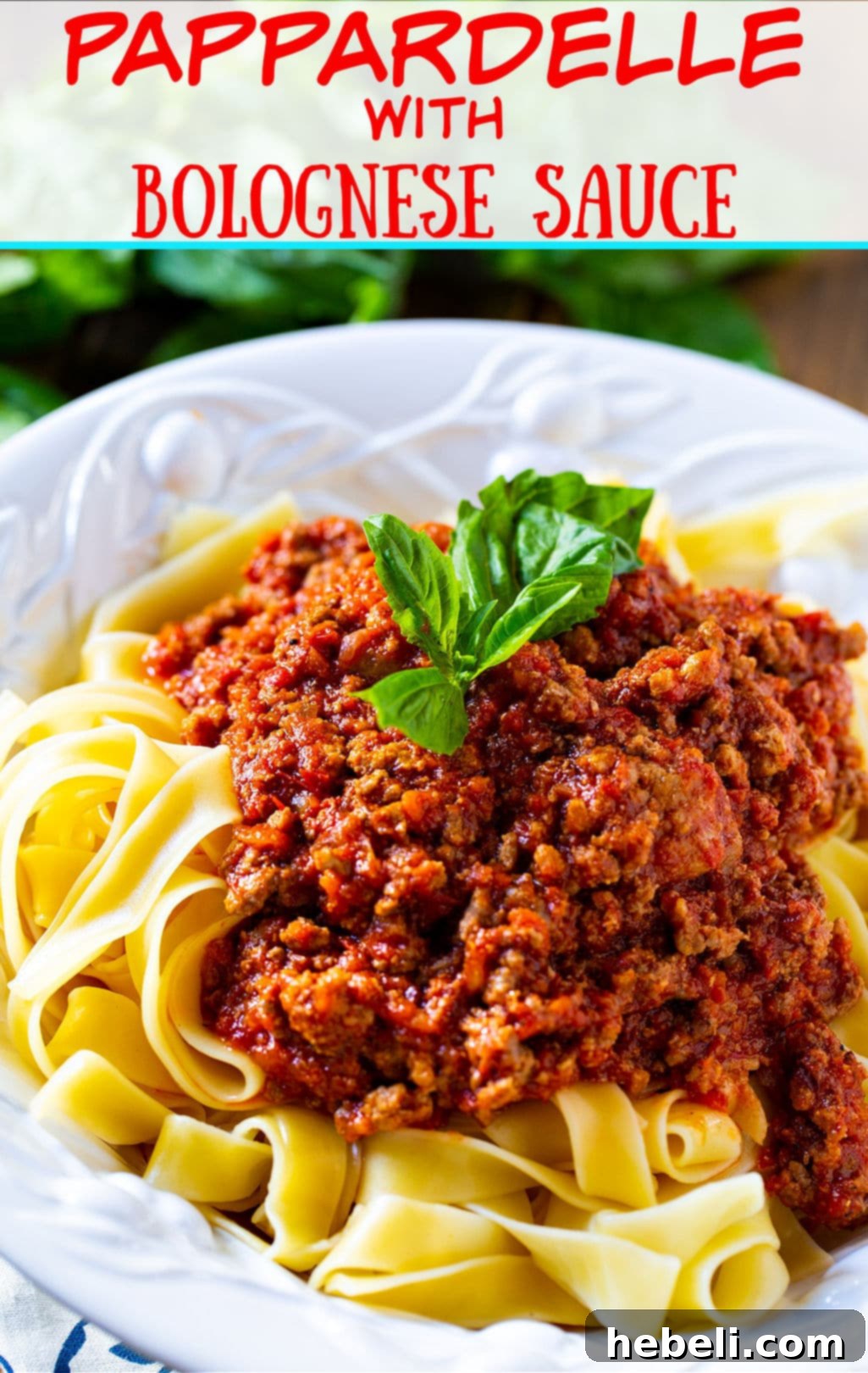 Classic Pappardelle Bolognese 4 A bowl of fresh pappardelle pasta tossed with a hearty Bolognese sauce, topped with grated Parmesan cheese and a sprig of basil.