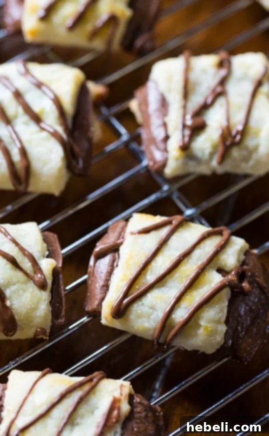 Homemade Chocolate Croissant Cookies featuring a tender, buttery dough wrapped around classic Hershey's chocolate