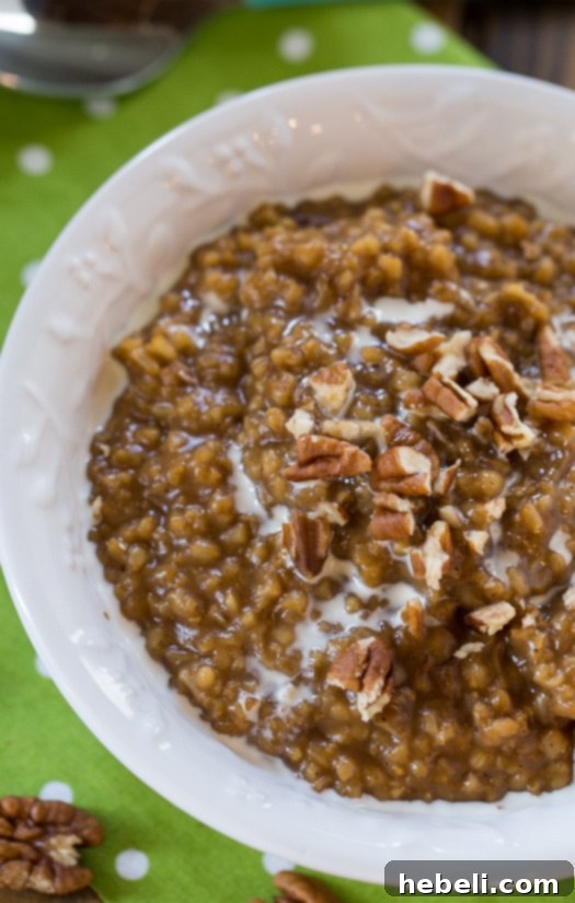 Spiced Gingerbread Steel Cut Oats 3 Close-up shot of Gingerbread Oatmeal generously topped with crunchy toasted pecans, highlighting its rich, dark color