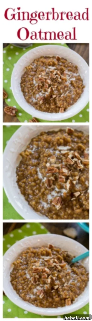 Spiced Gingerbread Steel Cut Oats 5 A top-down view of Gingerbread Steel-Cut Oatmeal, showcasing its rich texture and tempting toppings, perfect for a cozy morning