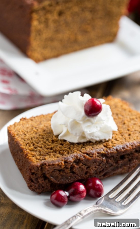 A close-up of the moist, dark crumb of Sweet and Spicy Gingerbread, showing its rich texture.