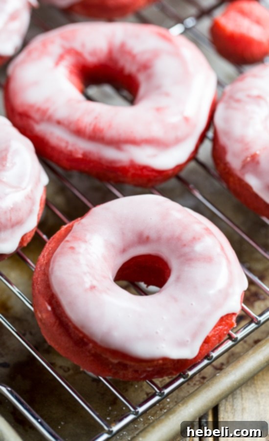 Decadent Red Velvet Glazed Doughnuts 4 Freshly fried Red Velvet Donuts gracefully cooling on a wire rack, perfectly poised and ready for their luscious glaze.