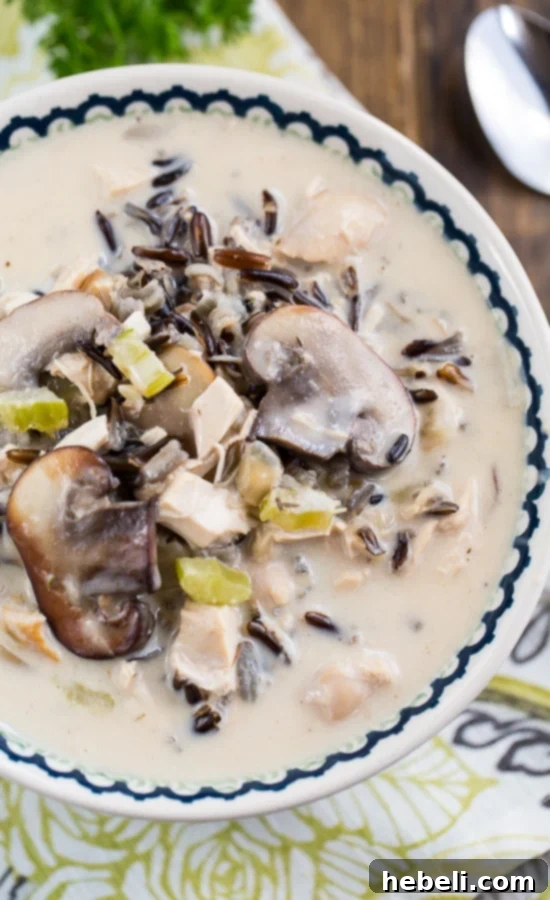 Close-up shot of thick Chicken and Wild Rice Soup, showcasing the ingredients like tender chicken pieces, wild rice, and sliced mushrooms.