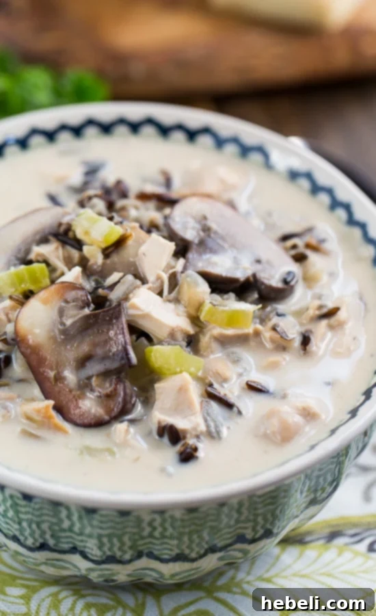 Close-up view of the creamy Chicken and Wild Rice Soup in a serving bowl, with steam gently rising, emphasizing its warmth and inviting nature.