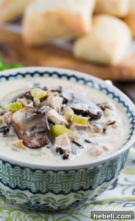 Bowl of Chicken and Wild Rice Soup served with a spoon, garnished with fresh parsley, ready for a cozy meal.