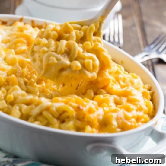 Silken Mac and Cheese 2 A generously portioned bowl of Super Creamy Mac and Cheese, showcasing its rich, golden-brown top and luscious texture, perfect for a comforting meal.