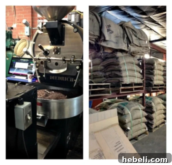 Boquete Mountain Coffee beans, highlighting quality and freshness