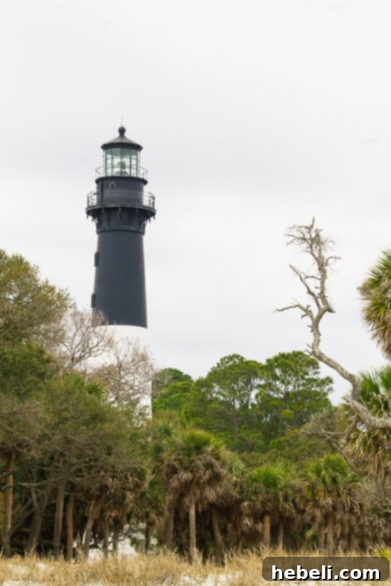 Hunting Island State Park Lighthouse South Carolina