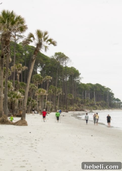 Hunting Island State Park in South Carolina Map Location