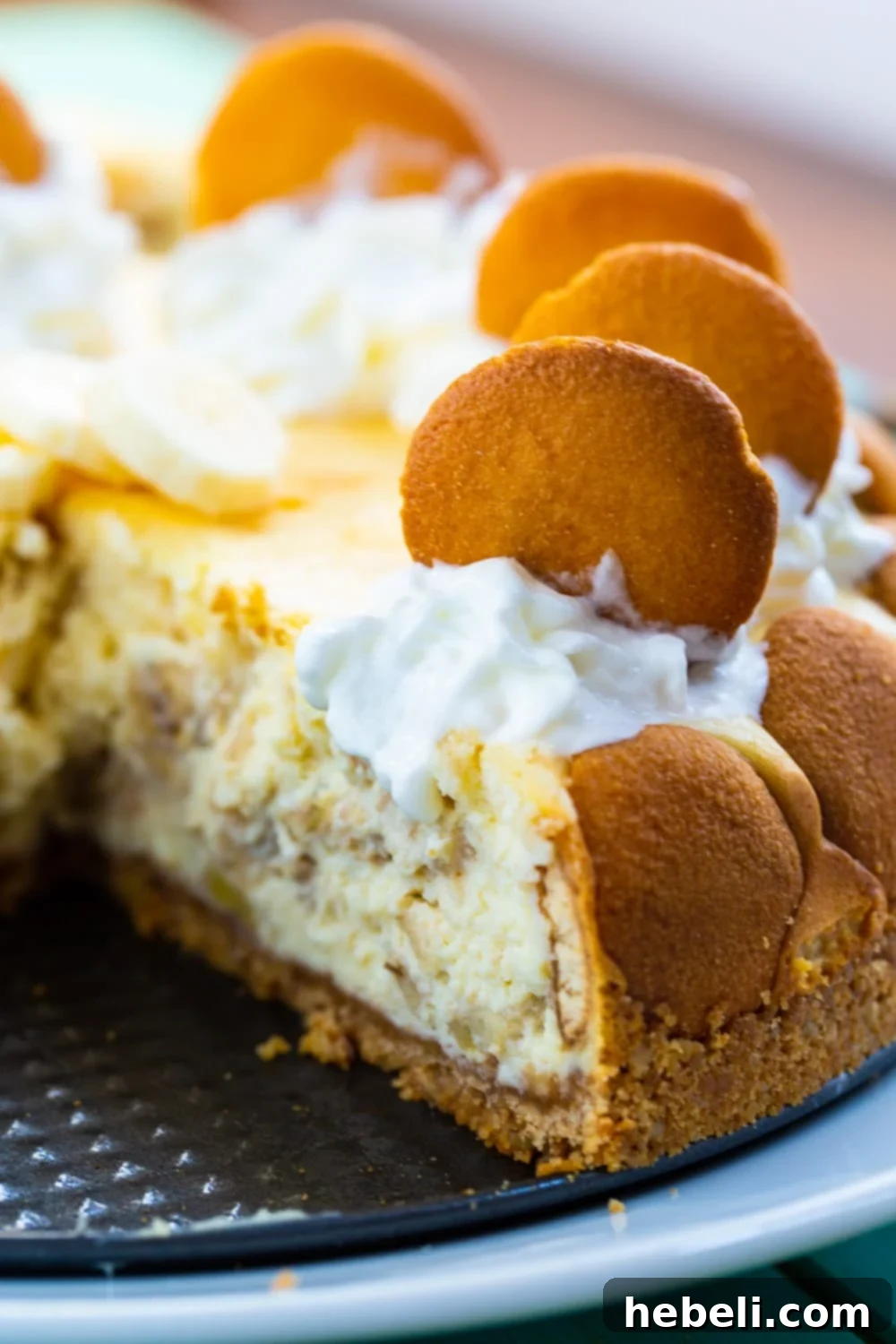 Heavenly Banana Pudding Cheesecake 4 Cheesecake with a slice cut out.