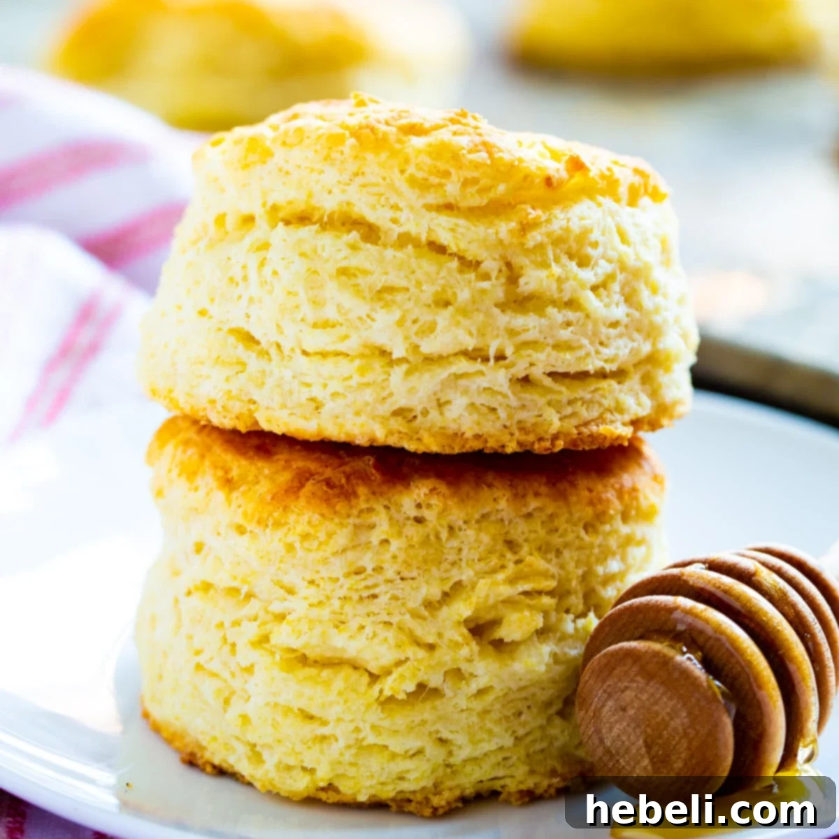 Two golden-brown Tupelo Honey Ginormous Biscuits stacked elegantly on a white plate, showcasing their perfect texture and size.