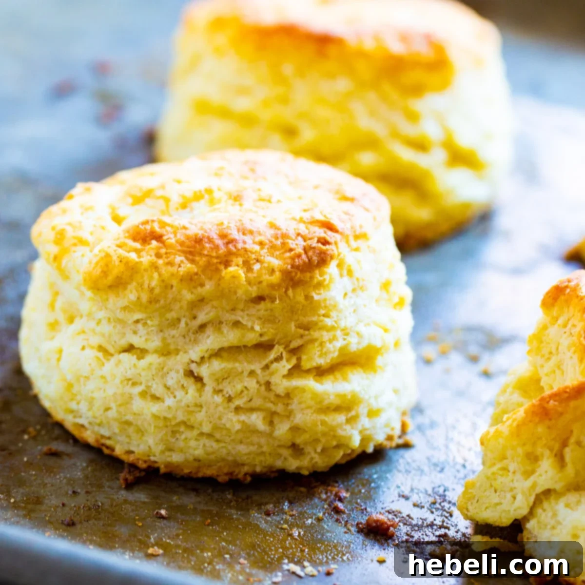 Freshly baked Tupelo Honey Ginormous Biscuits cooling on a baking sheet, showcasing their golden crust and impressive size.
