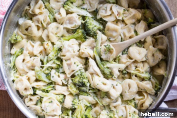 Broccoli Alfredo Tortellini plated and ready to serve, highlighting its quick preparation time.