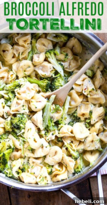 A delicious plate of Broccoli Alfredo Tortellini, inviting and comforting.