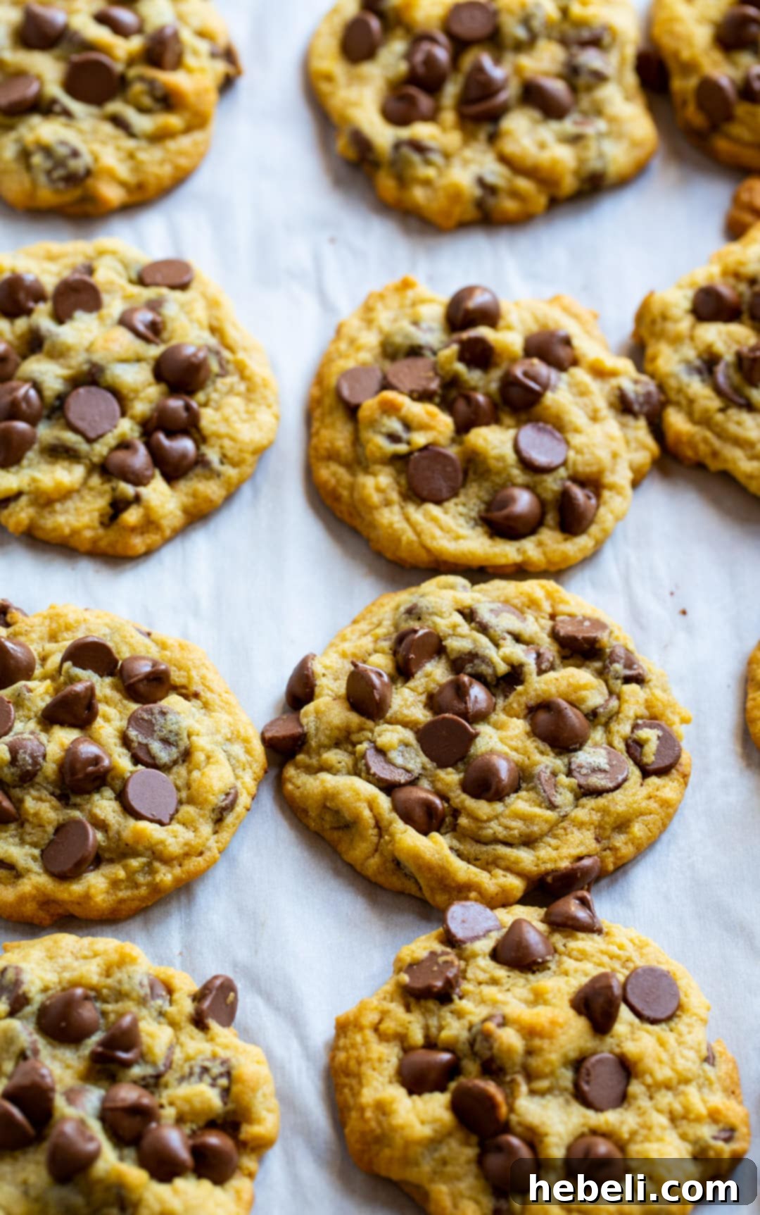 Freshly baked Chocolate Chip Pudding Cookies arranged on a baking sheet, ready to be enjoyed.