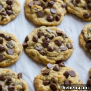Chocolate Chip Pudding Cookies