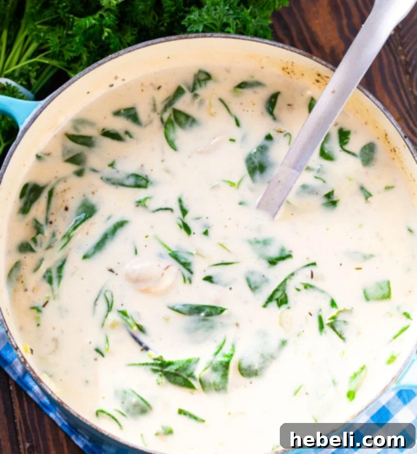 Oyster Stew: A Creamy Brie and Spinach Infusion 2 Oyster Stew with Brie and Spinach simmering in a Dutch oven, showcasing its creamy texture and vibrant green spinach.
