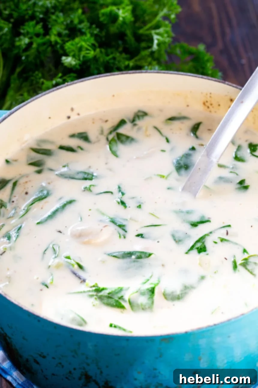Oyster Stew: A Creamy Brie and Spinach Infusion 3 Close-up of Oyster Stew in a Dutch oven, highlighting the melted brie and tender oysters.
