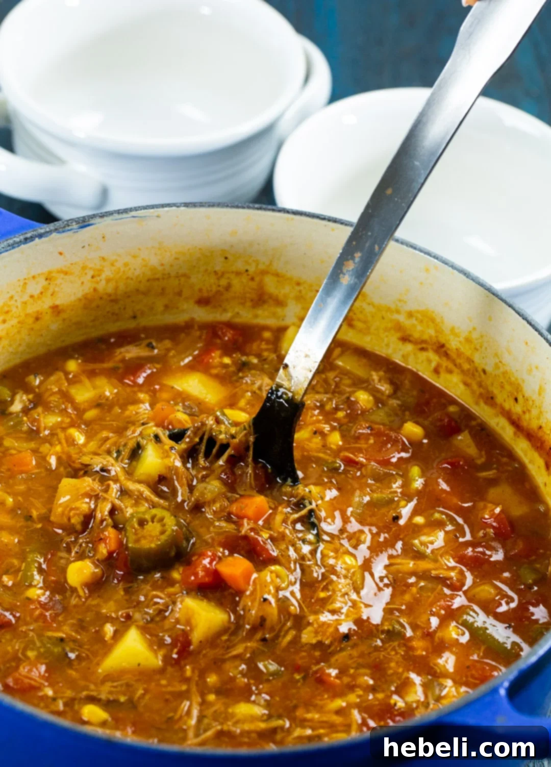 Ladle scooping up Pulled Pork Vegetable Soup