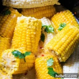 Fresh Corn Recipes to Try Before Summer Ends 12 Crock Pot Corn on the Cob