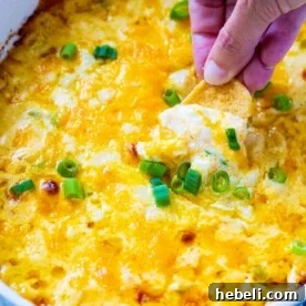 Vidalia Onion Dip