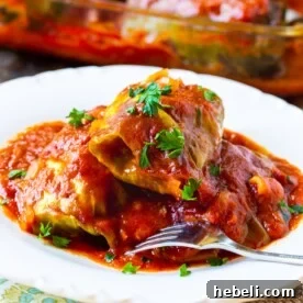Three Stuffed Cabbage Rolls on a plate.